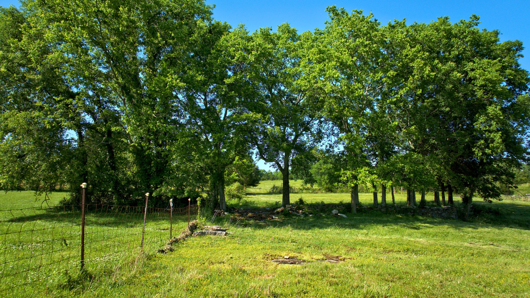 0 Philadelphia Road Lebanon, TN 37087 - Photo 8 of 9