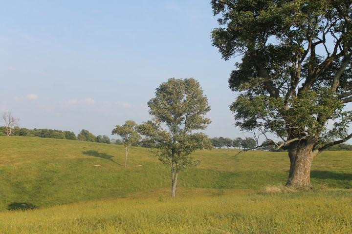 100 Concord & Burris Road Carlisle, KY 40311 - Photo 7 of 9 Photo 7
