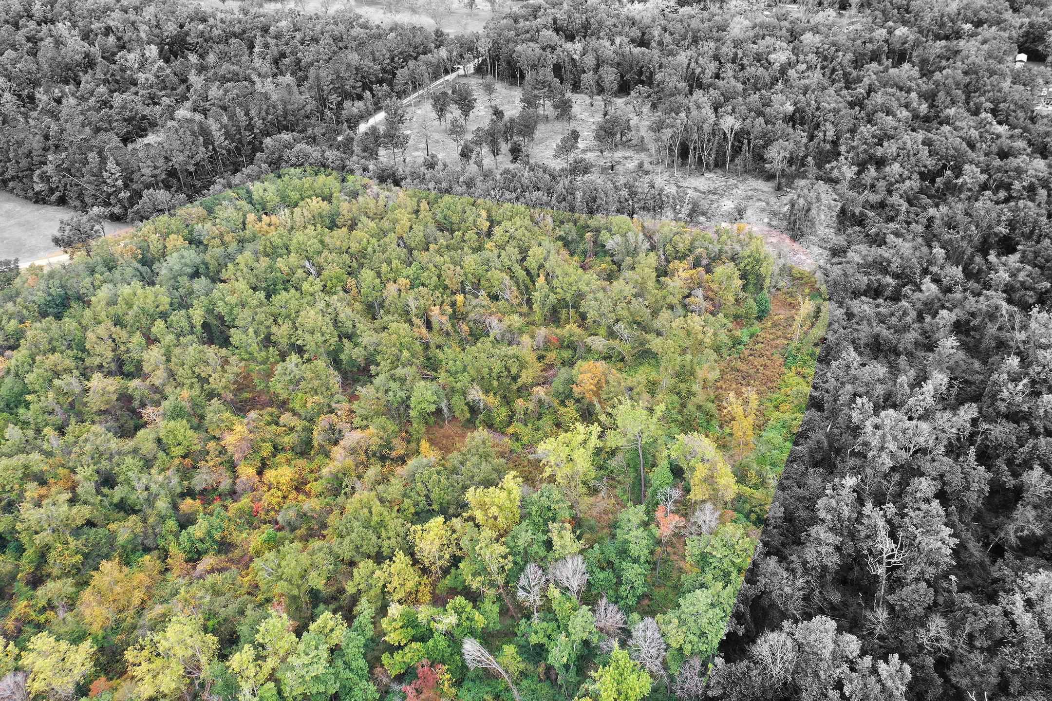1 Sanca Lane Silverhill, AL 36576 - Photo 8 of 11