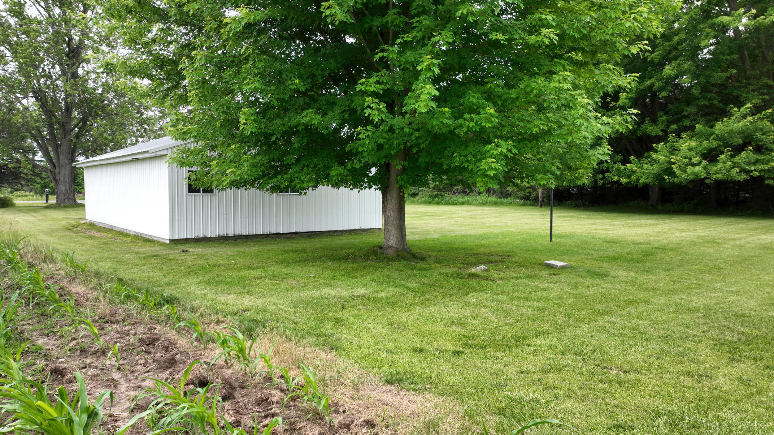 18788 Dice Road Merrill, MI 48637 - Photo 12 of 54 18788 dice rd (12)