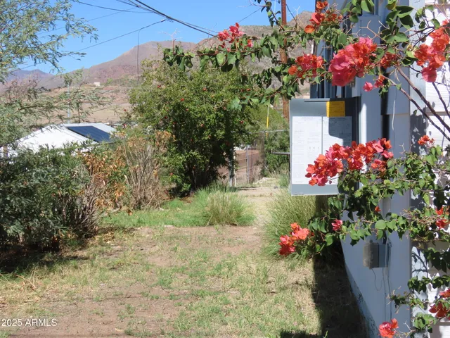 a front view of a house with a yard and fountain