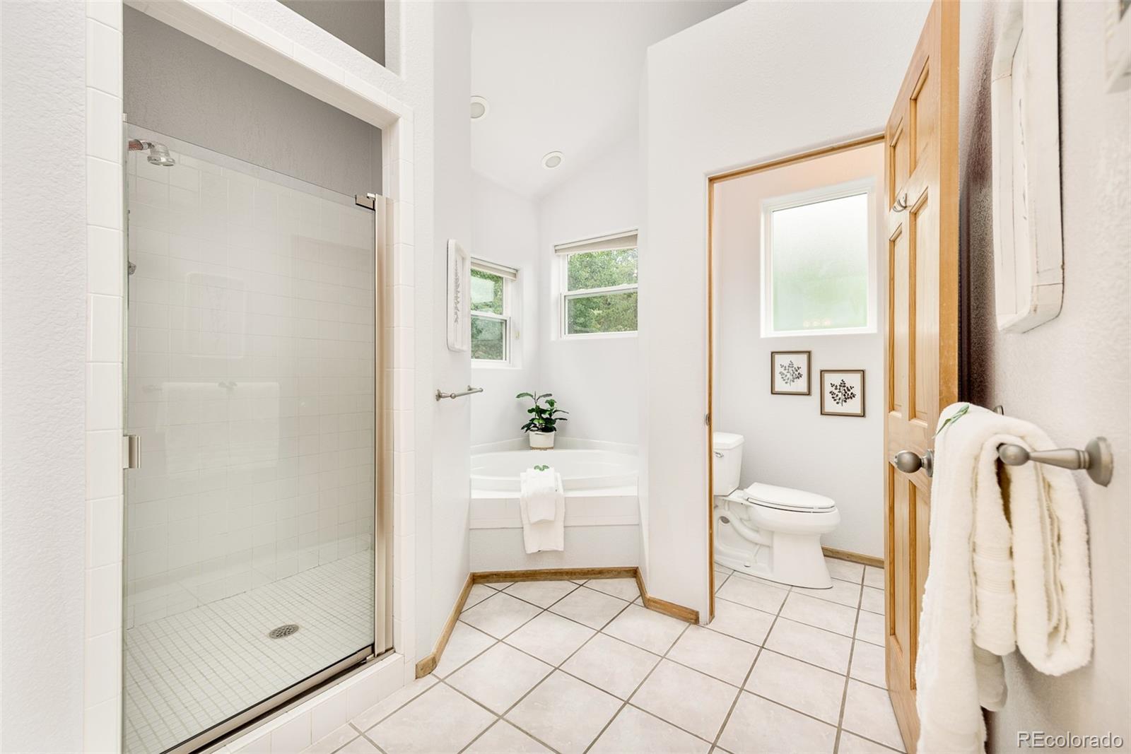 1453 Santa Fe Mountain Road Evergreen, CO 80439 - Photo 29 of 50 a bathroom with a sink toilet and shower