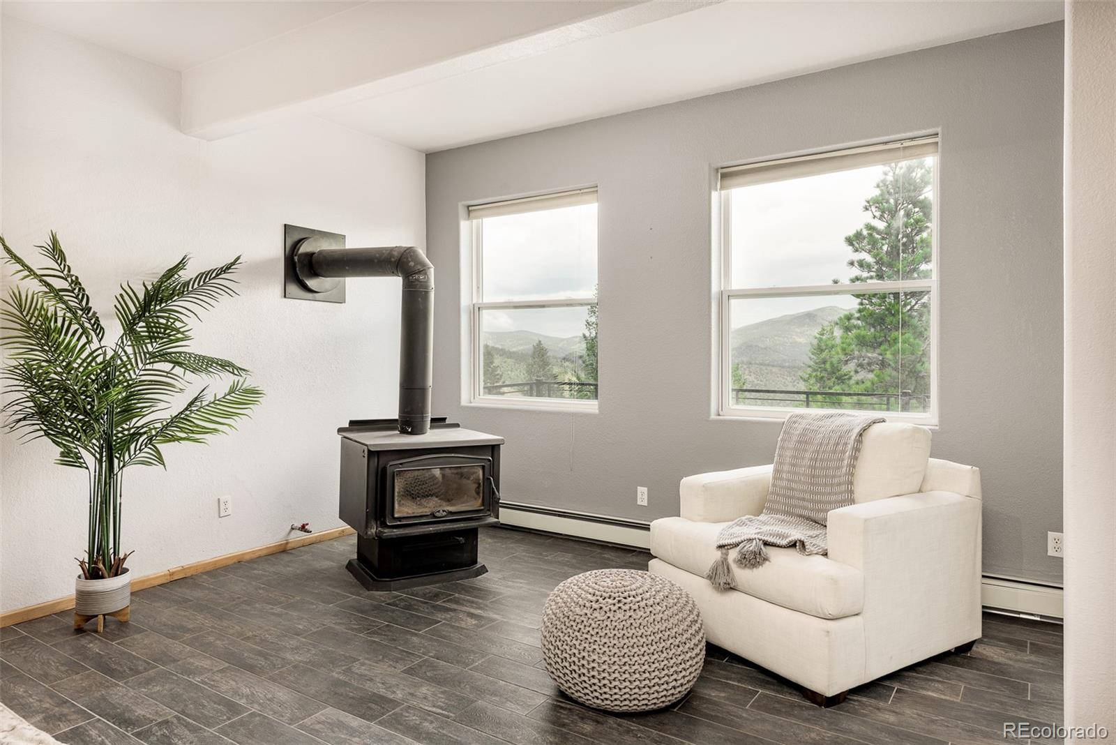1453 Santa Fe Mountain Road Evergreen, CO 80439 - Photo 37 of 50 a living room with furniture and a potted plant