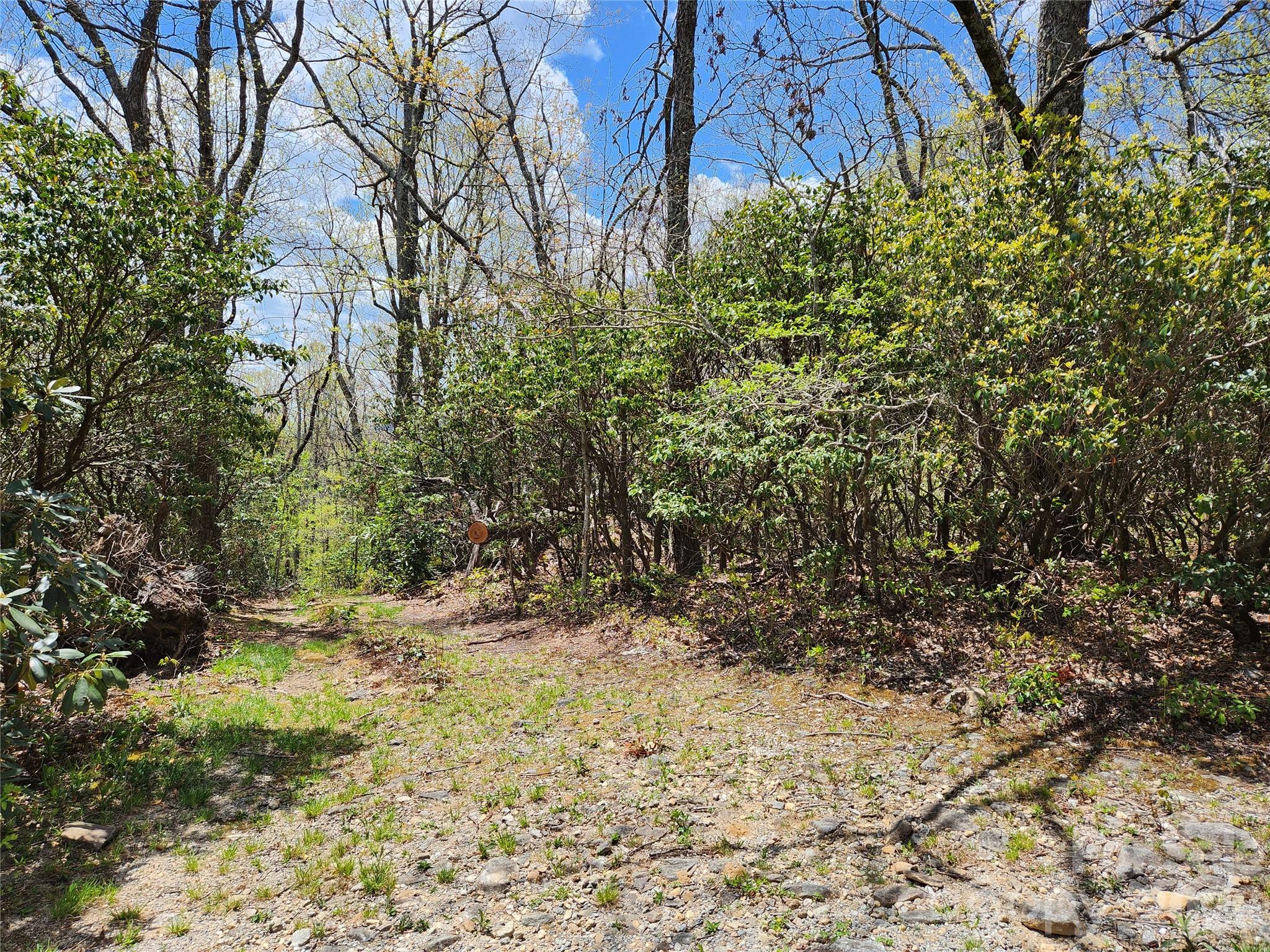 929 Pine Ridge Road Hendersonville, NC 28792 - Photo 4 of 16