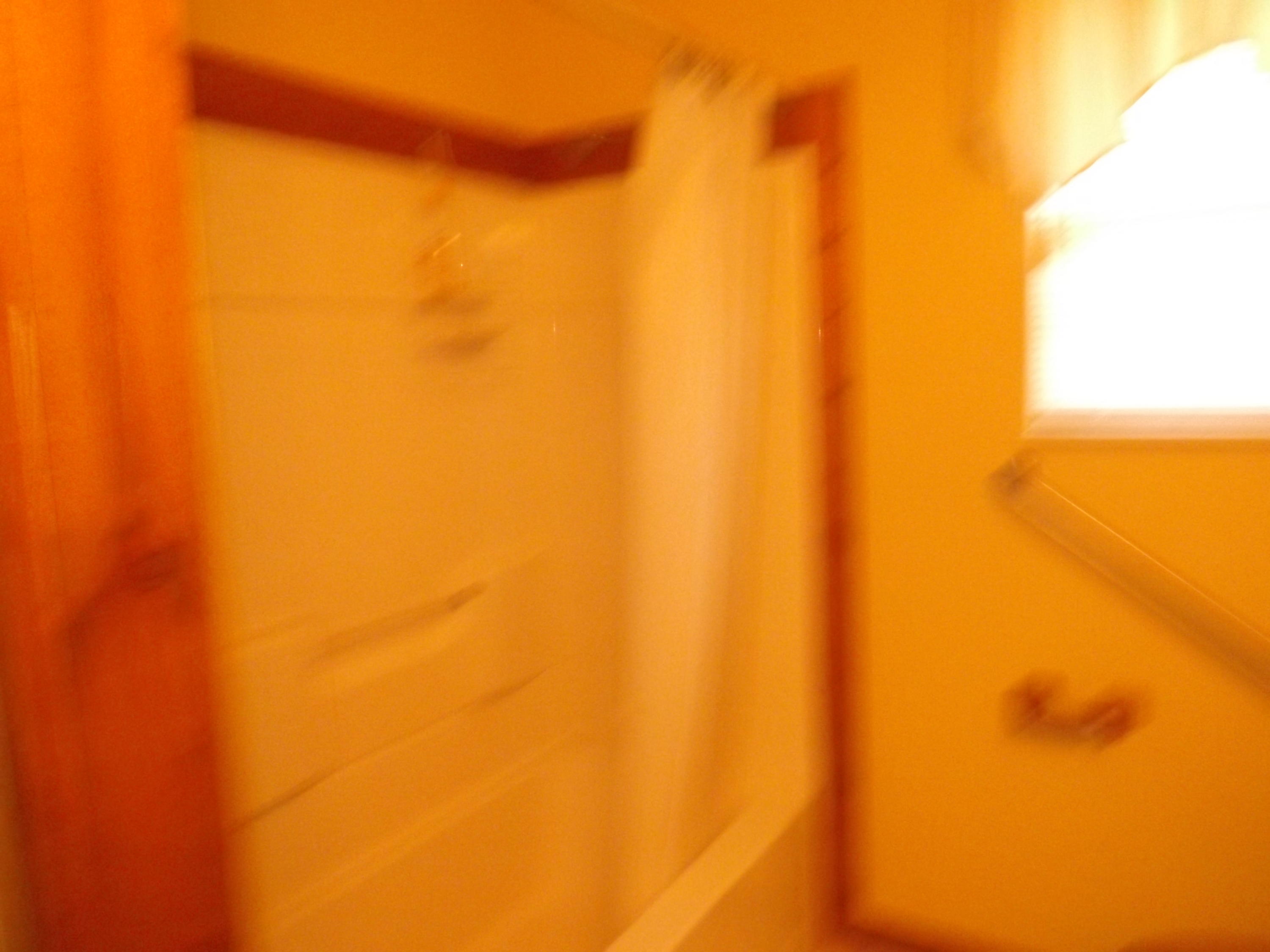 328 Parliament Road Harrogate, TN 37752 - Photo 9 of 15 DSCF0549