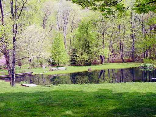 802 Four Mile Run Road Ligonier, PA 15658 - Photo 2 of 7 Gallery Image 2