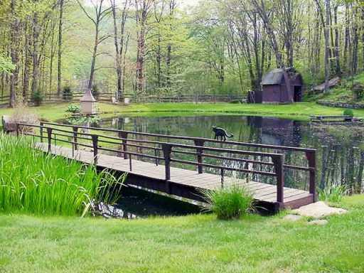 802 Four Mile Run Road Ligonier, PA 15658 - Photo 4 of 7 Gallery Image 4