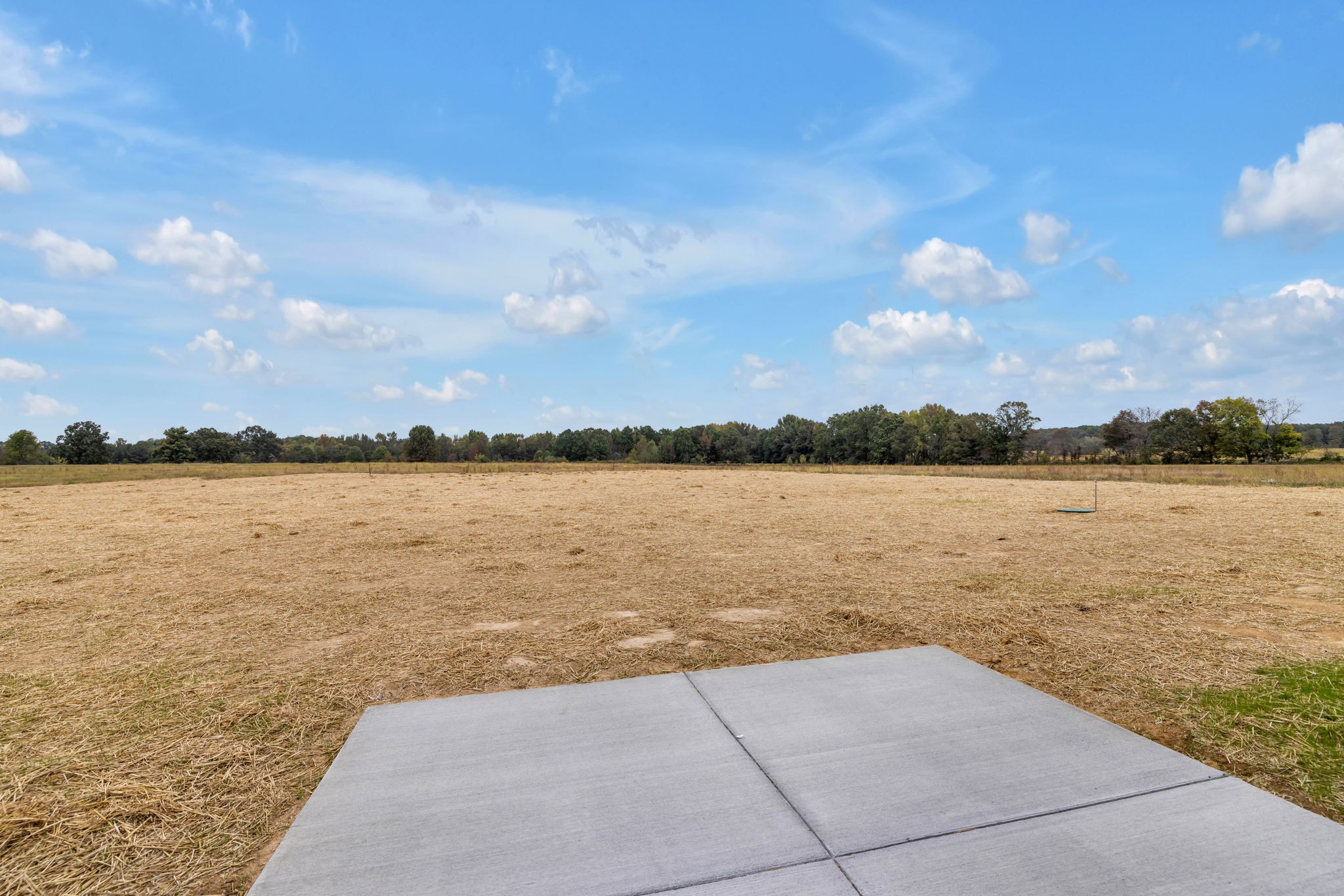 313 Dugout Road Summertown, TN 38483 - Photo 52 of 58 Gallery Image 52