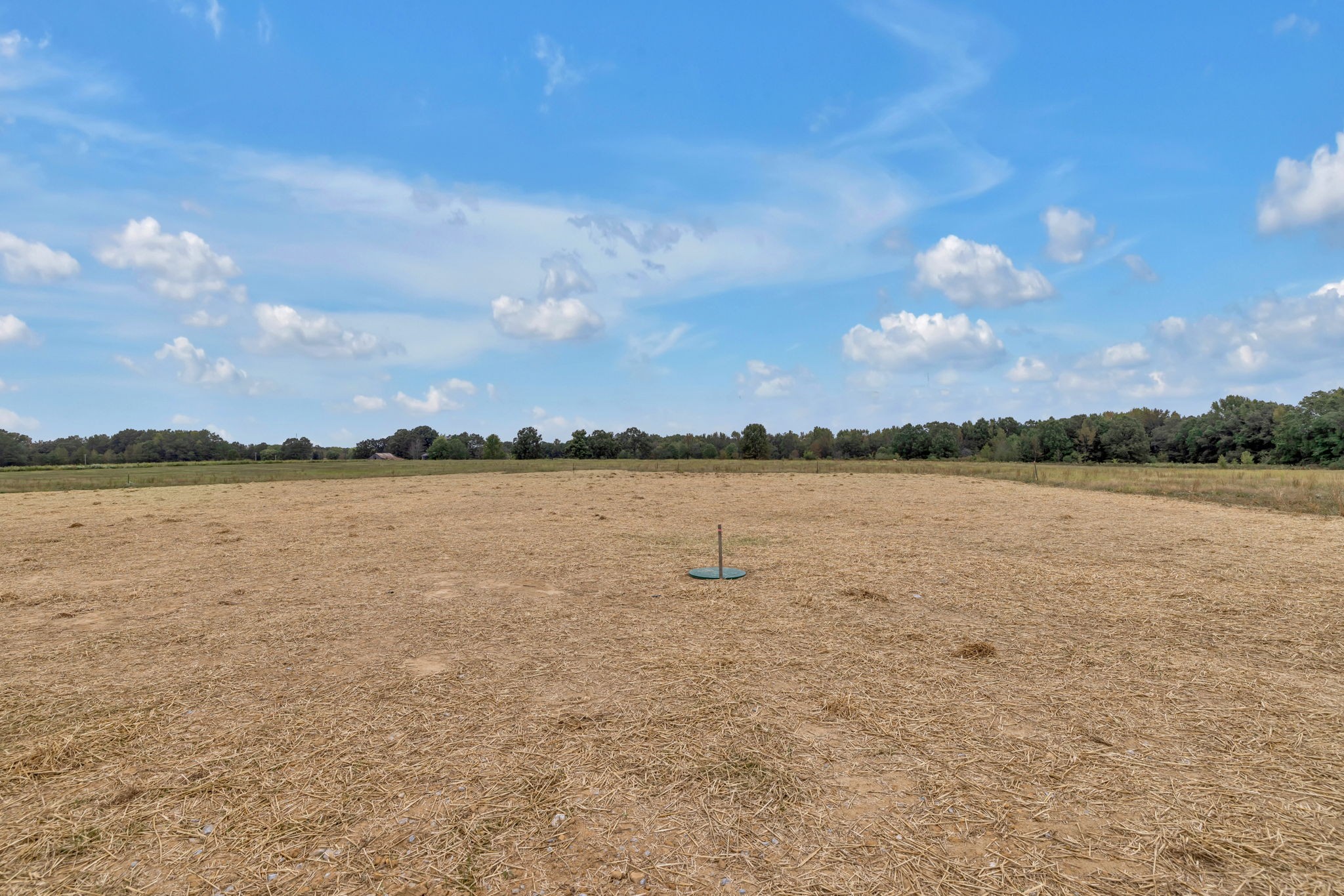 313 Dugout Road Summertown, TN 38483 - Photo 53 of 58 Gallery Image 53