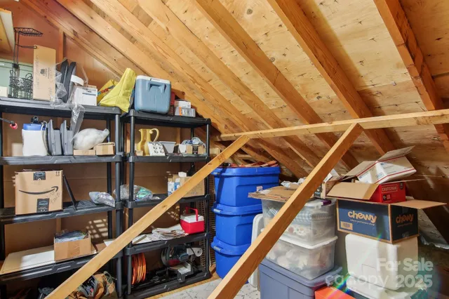 a living room with furniture a couch and a potted plant