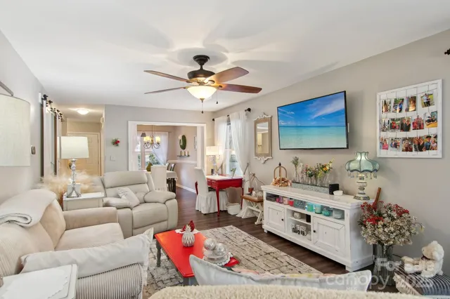 a living room with furniture potted plant and a flat screen tv