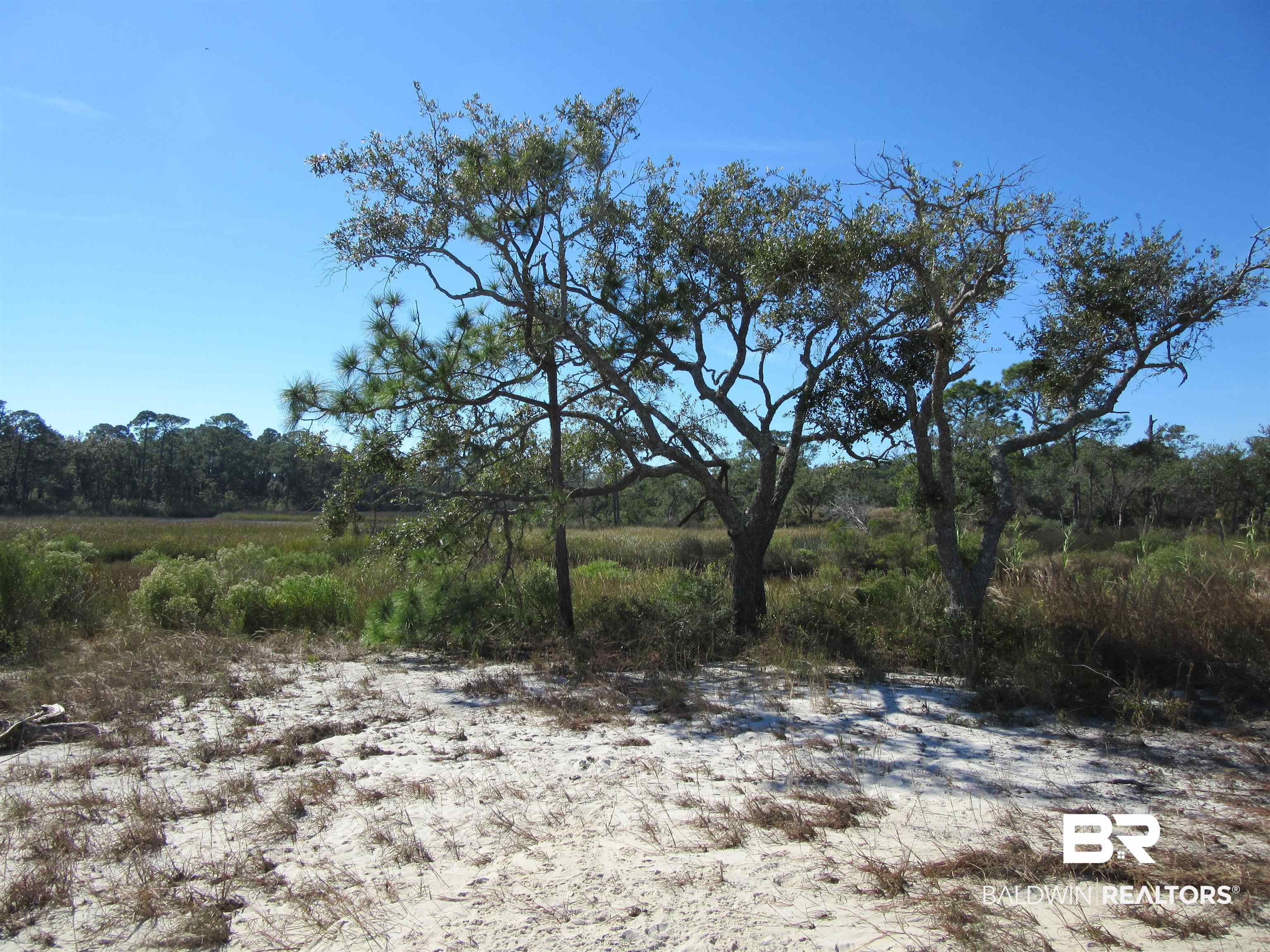 Pleasure Point Road Gulf Shores, AL 36542 - Photo 27 of 31