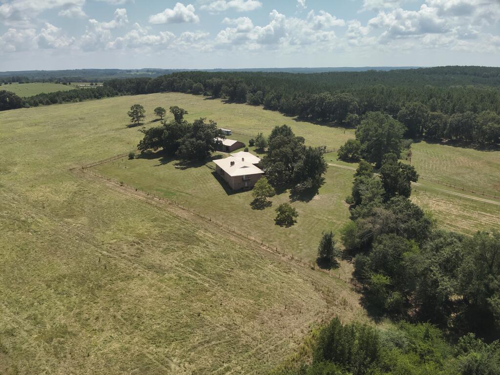218 Chaney Branch Road Clio, AL 36017 - Photo 72 of 72 Gallery Image 72