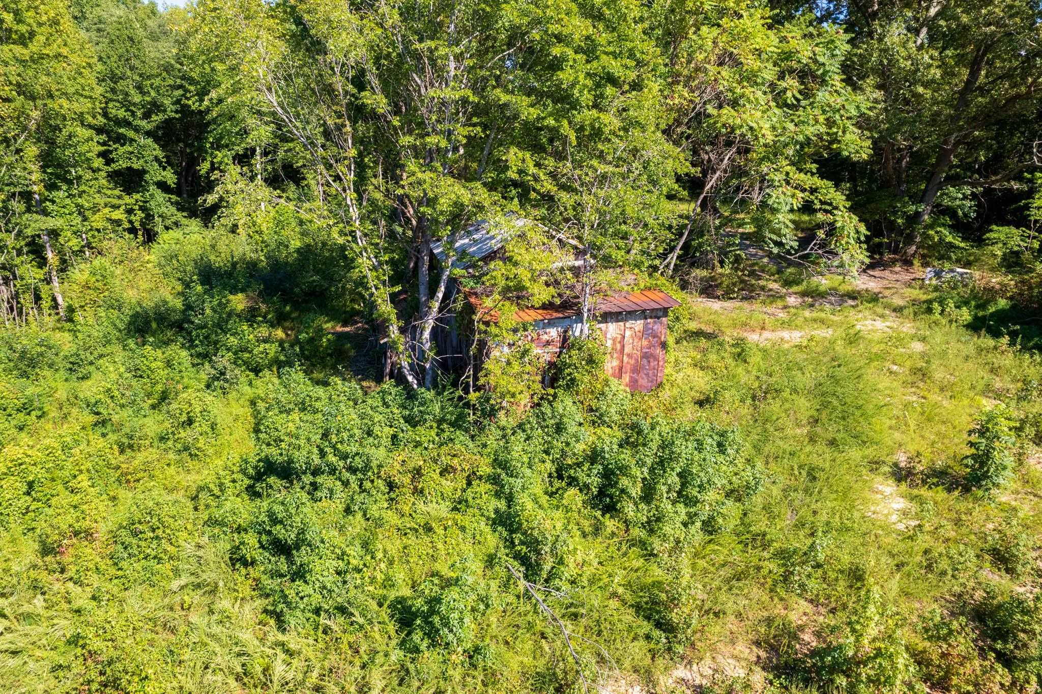 0 Snatchburg Road Semora, NC 27343 - Photo 11 of 35 Photo 11