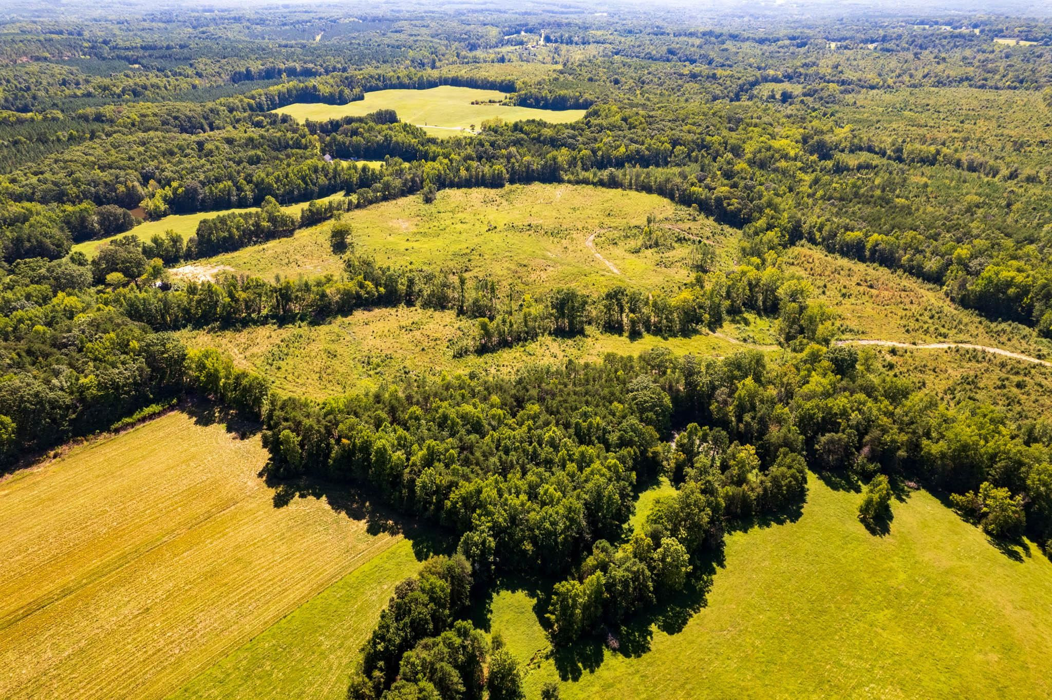 0 Snatchburg Road Semora, NC 27343 - Photo 25 of 35 Photo 25