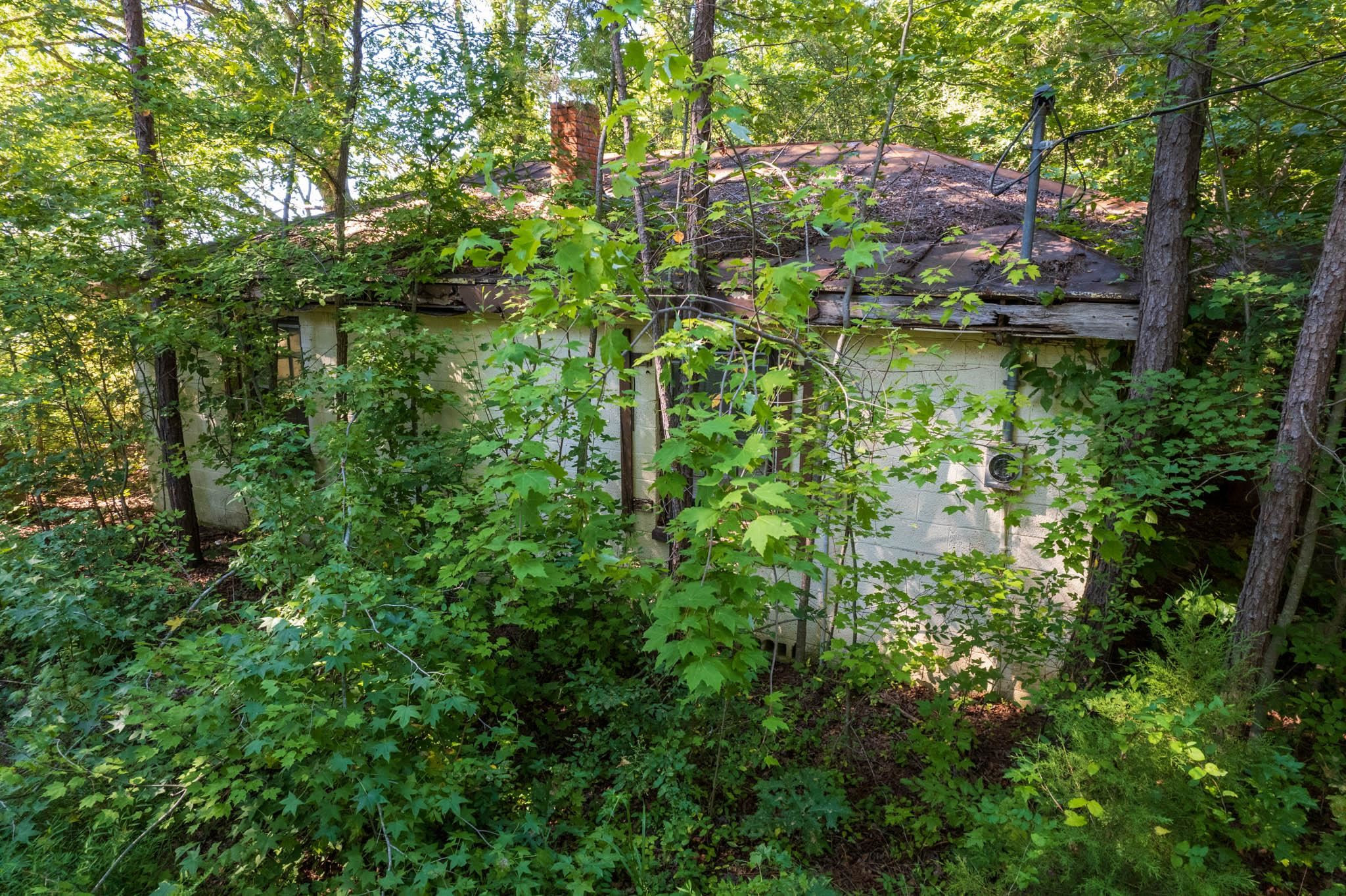 0 Snatchburg Road Semora, NC 27343 - Photo 8 of 35 Photo 8