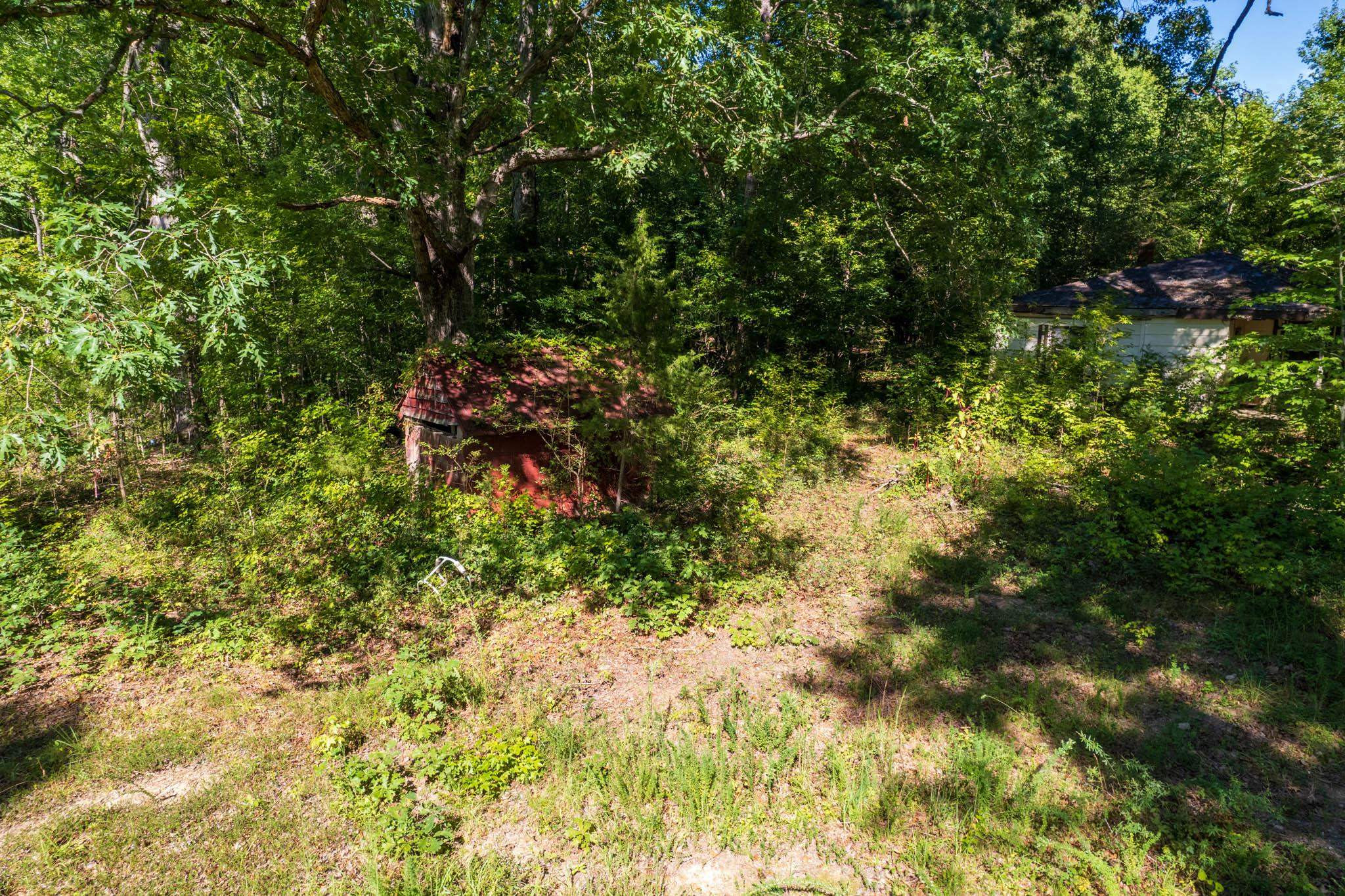 0 Snatchburg Road Semora, NC 27343 - Photo 10 of 35 Photo 10