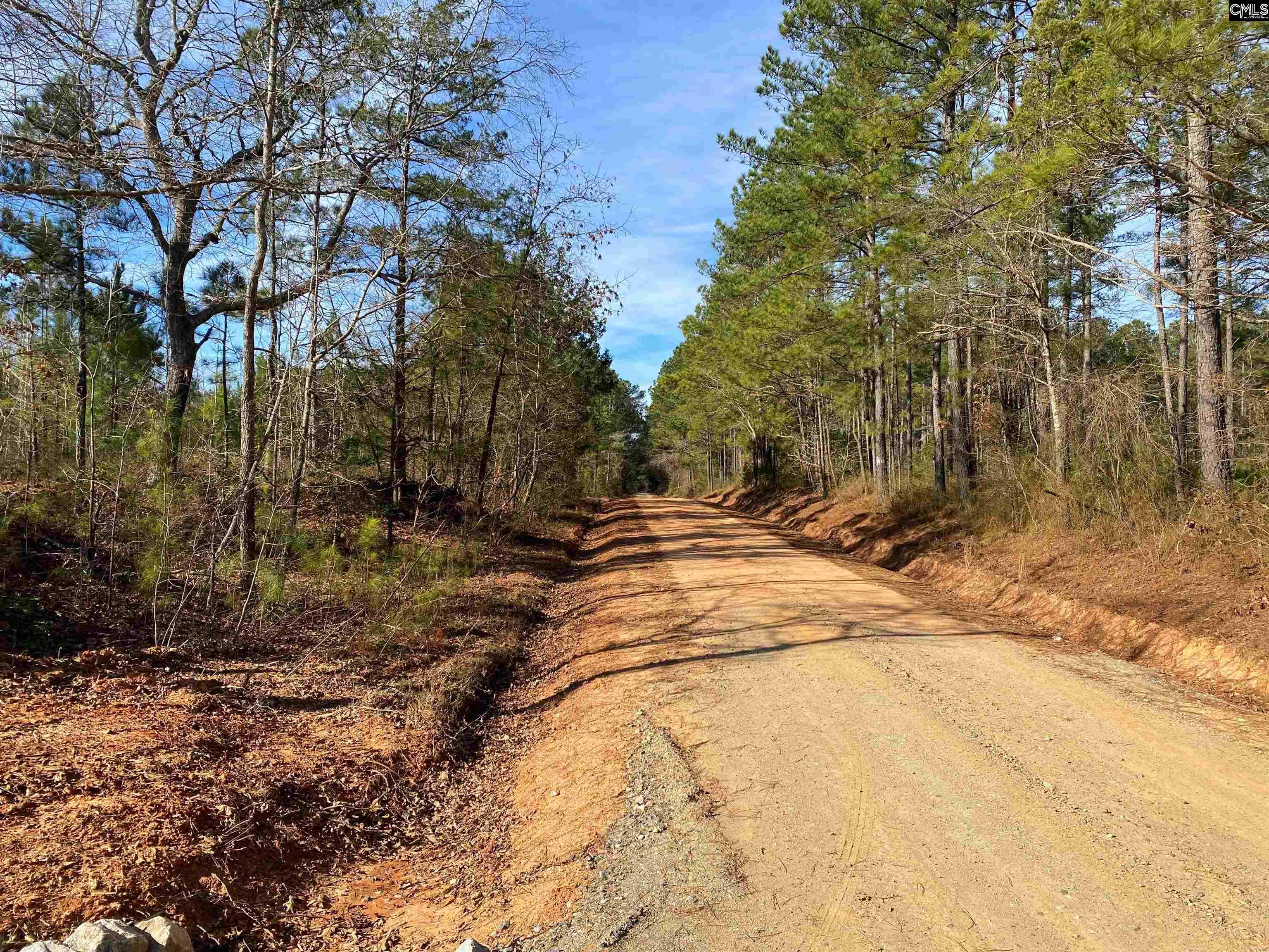 900 Pineywood Road Saluda, SC 29138 - Photo 22 of 23