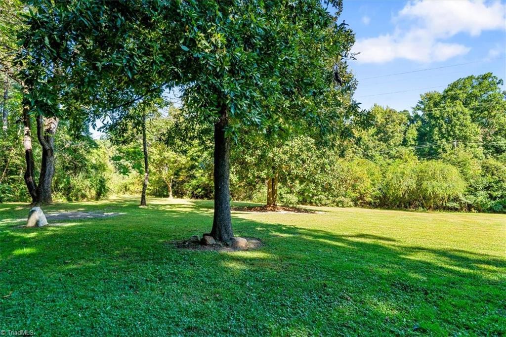 1247 Rankin Mill Road McLeansville, NC 27301 - Photo 27 of 32