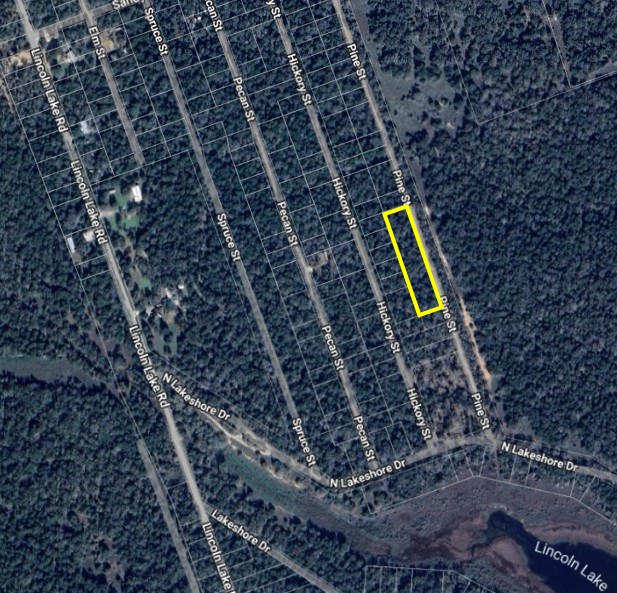 Tbd Pine Street Paige, TX 78659 - Photo 2 of 3 Aerial overview of property's location