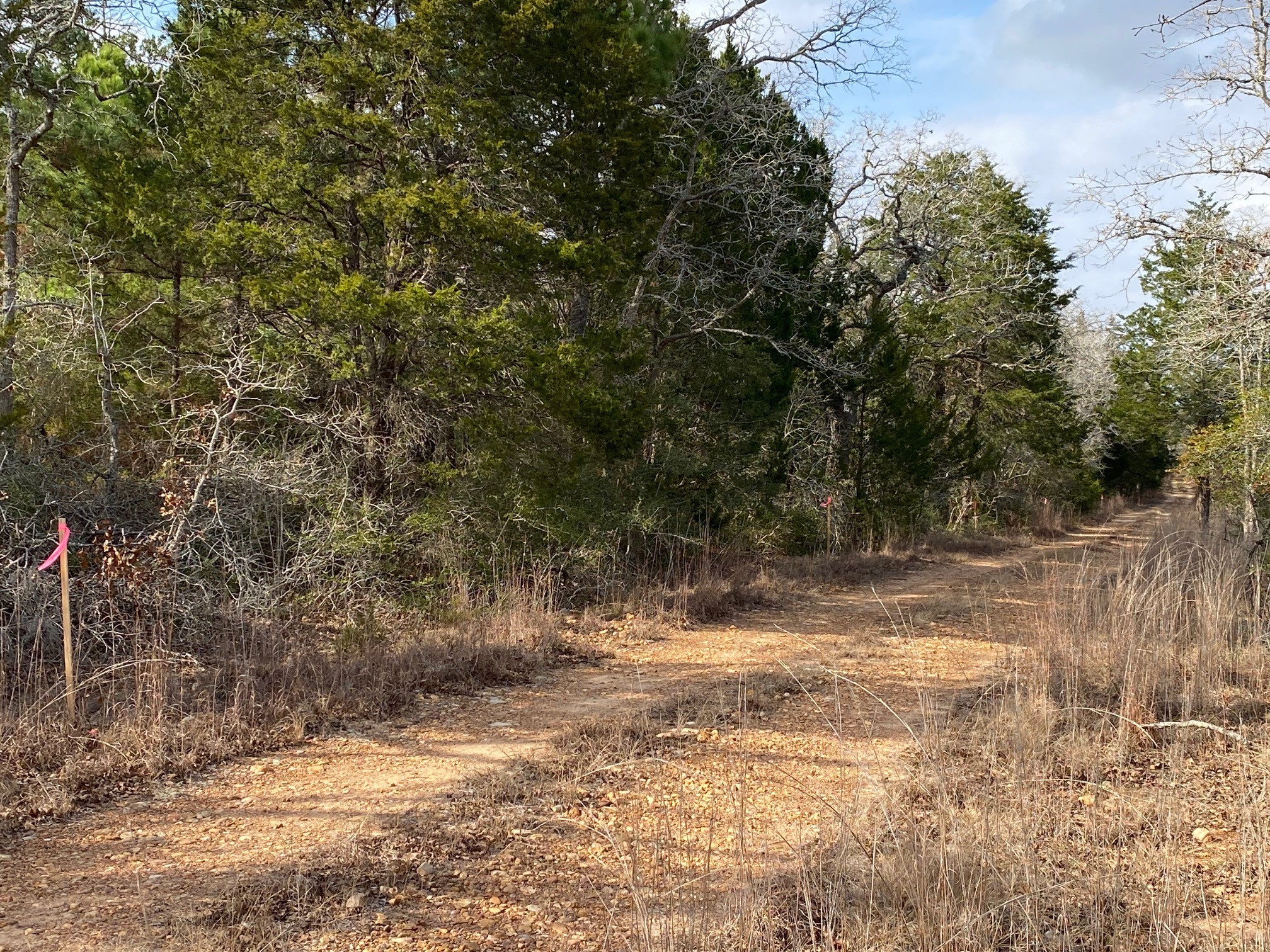 Tbd Pine Street Paige, TX 78659 - Photo 3 of 3 View of lots from Pine St.