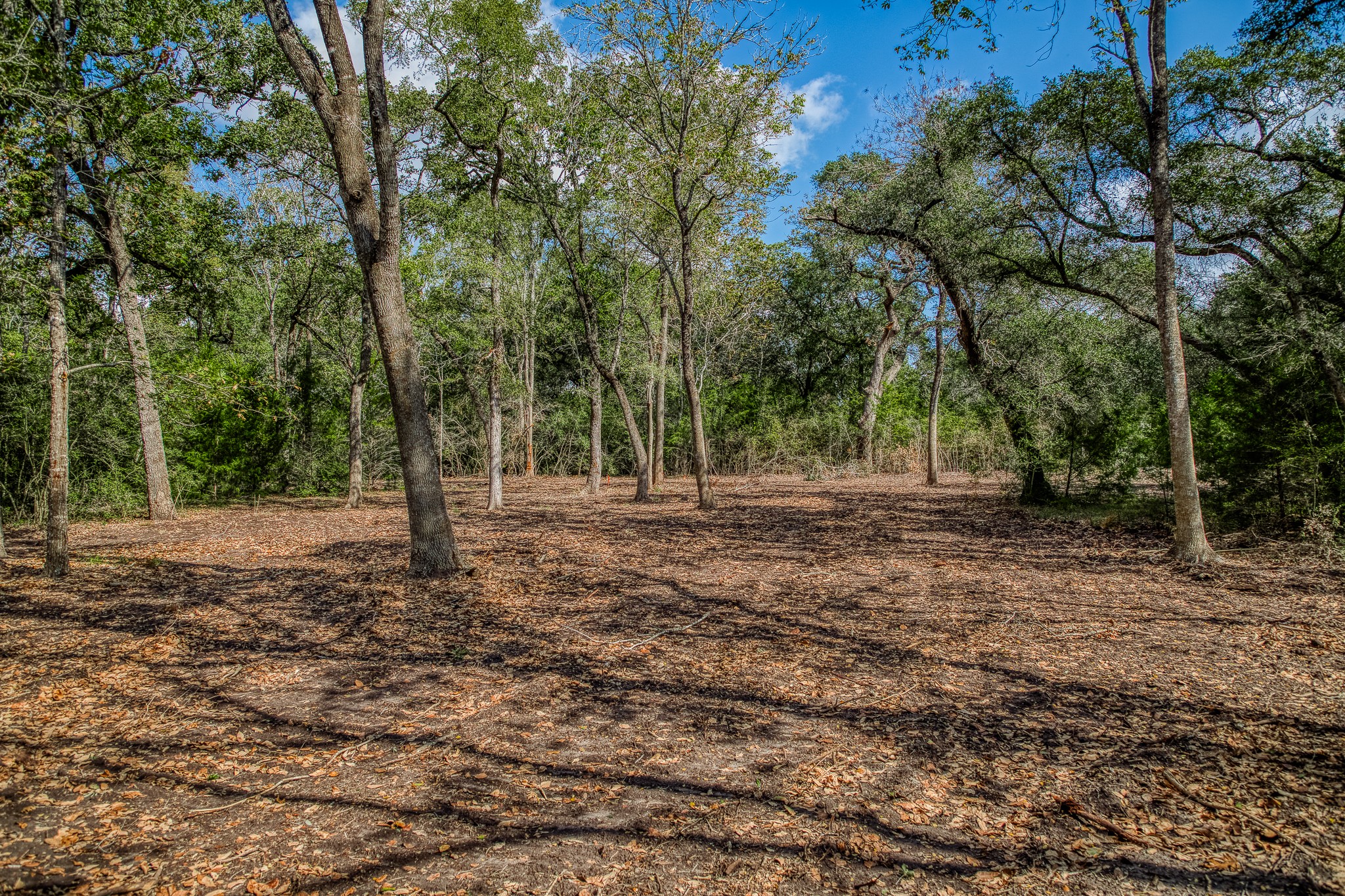 2 Sun Oil Road Brenham, TX 77833 - Photo 22 of 35