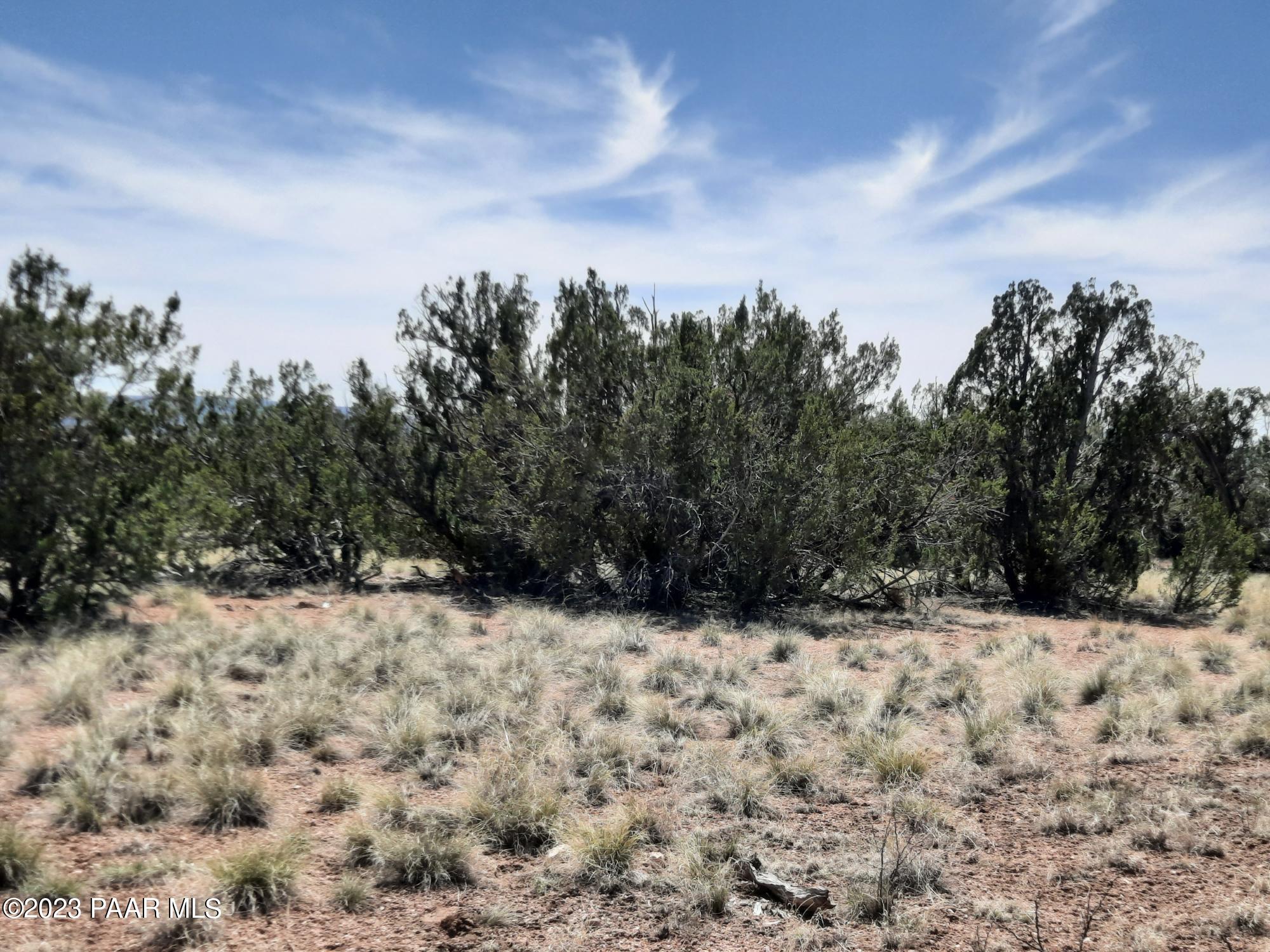 26857 Fort Rock Road Seligman, AZ 86337 - Photo 8 of 9 20230416_134859