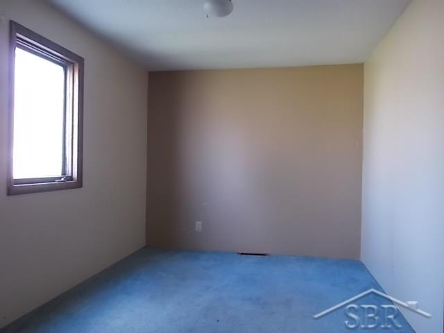 208 Glidden Road Beaverton, MI 48612 - Photo 11 of 18