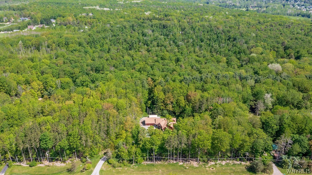 6345 West Tillen Road Boston, NY 14025 - Photo 44 of 50
