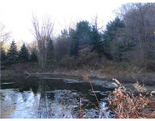 295 West Jefferson Road Butler, PA 16002 - Photo 16 of 18 Land.