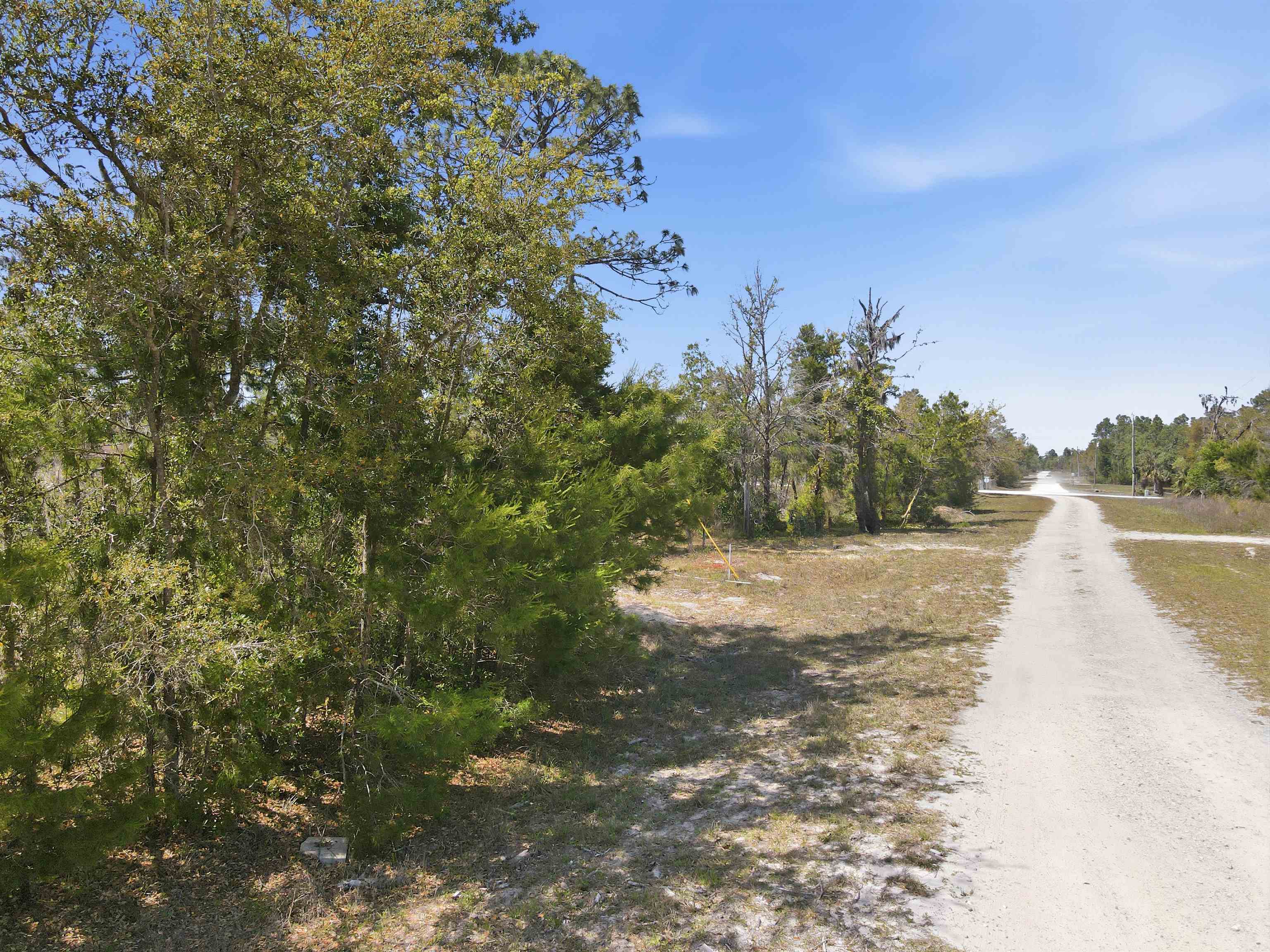 15931 Shell Drive Perry, FL 32348 - Photo 6 of 8 Gallery Image 6