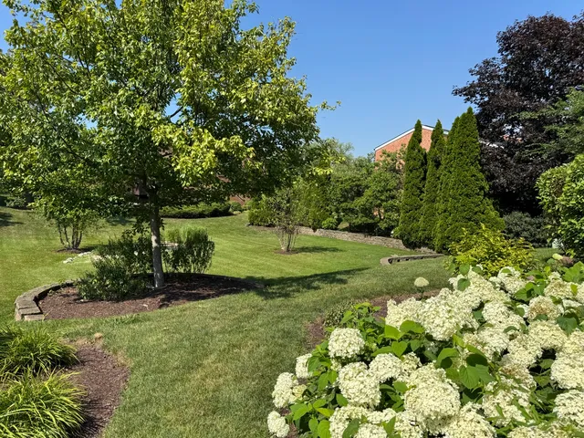 a view of a garden with a tree