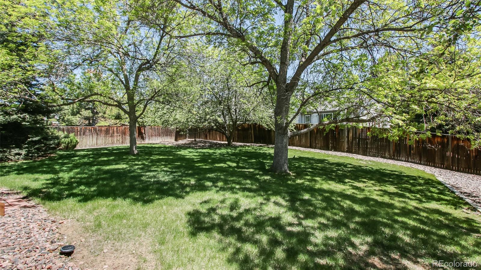 82 Prairie Ridge Road Highlands Ranch, CO 80126 - Photo 28 of 29 a view of backyard with green space