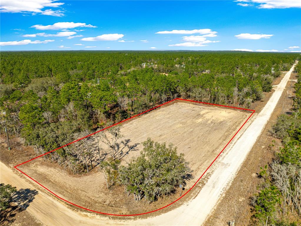 7960 Southwest 121st Terrace Dunnellon, FL 34432 - Photo 3 of 65