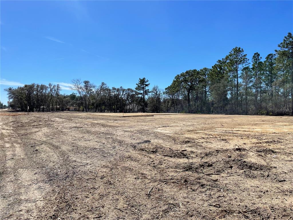 7960 Southwest 121st Terrace Dunnellon, FL 34432 - Photo 5 of 65