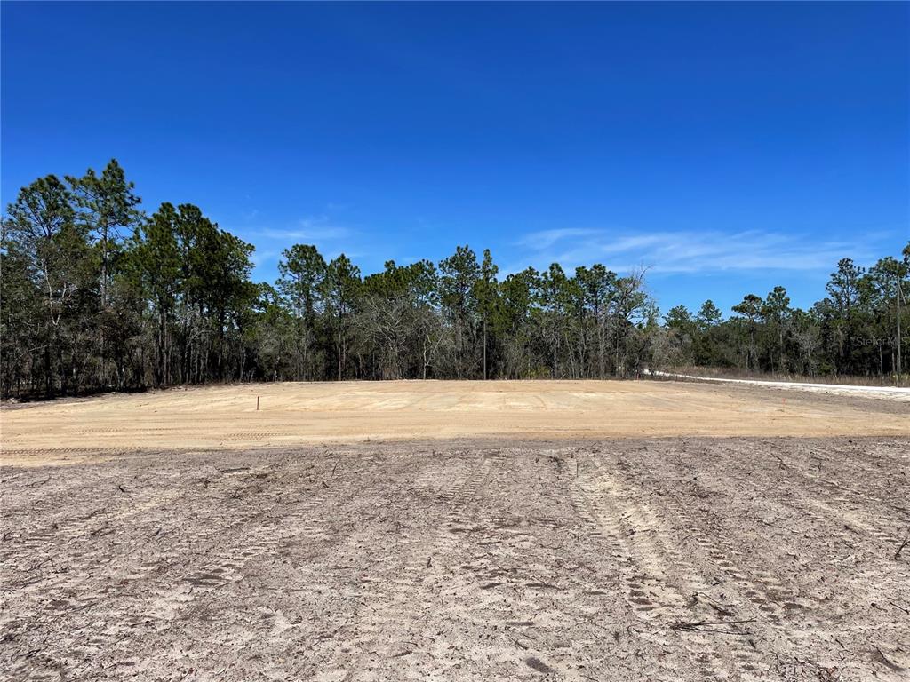 7960 Southwest 121st Terrace Dunnellon, FL 34432 - Photo 6 of 65