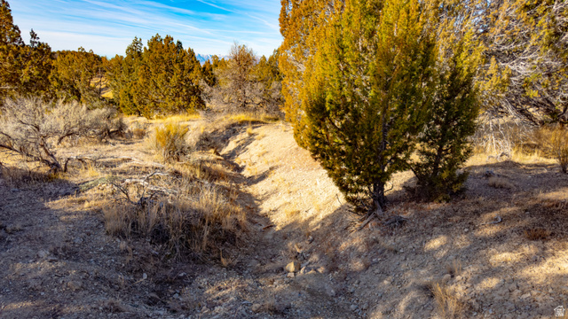 0 County Road 28 Levan, UT 84639 - Photo 58 of 207