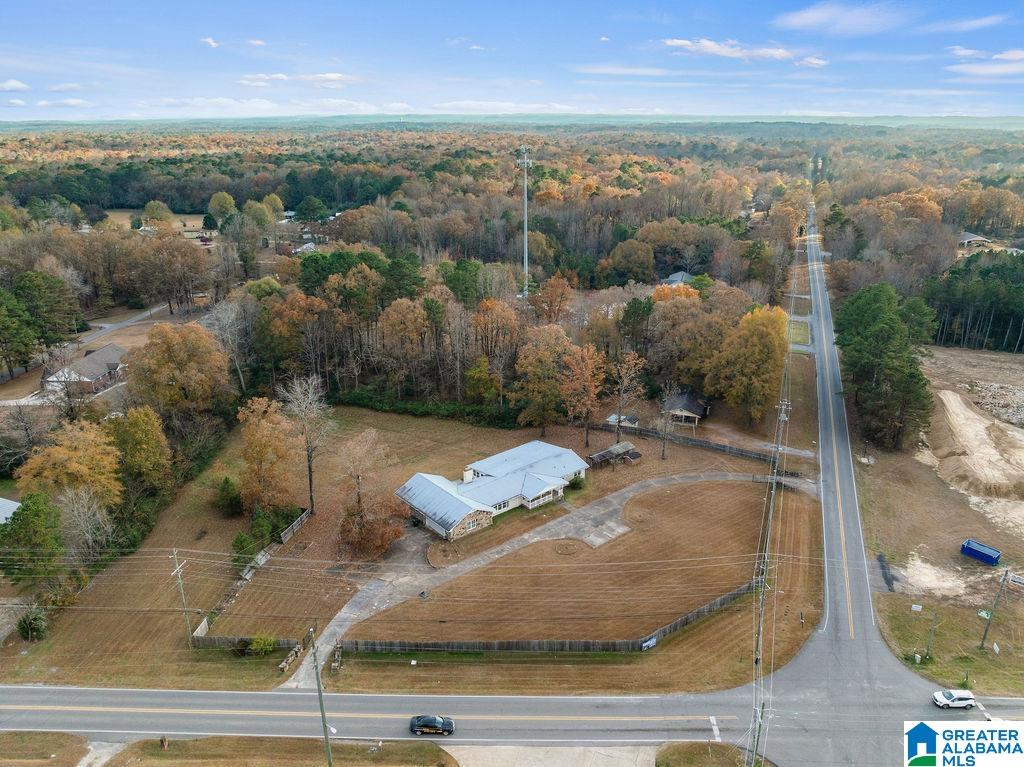 2366 North Walston Bridge Road Jasper, AL 35504 - Photo 48 of 52