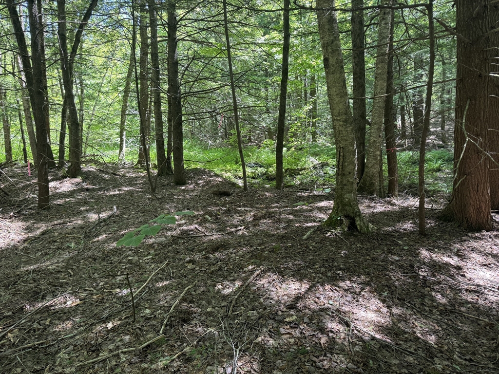 0 Old Stage Road Ashfield, MA 01330 - Photo 3 of 7