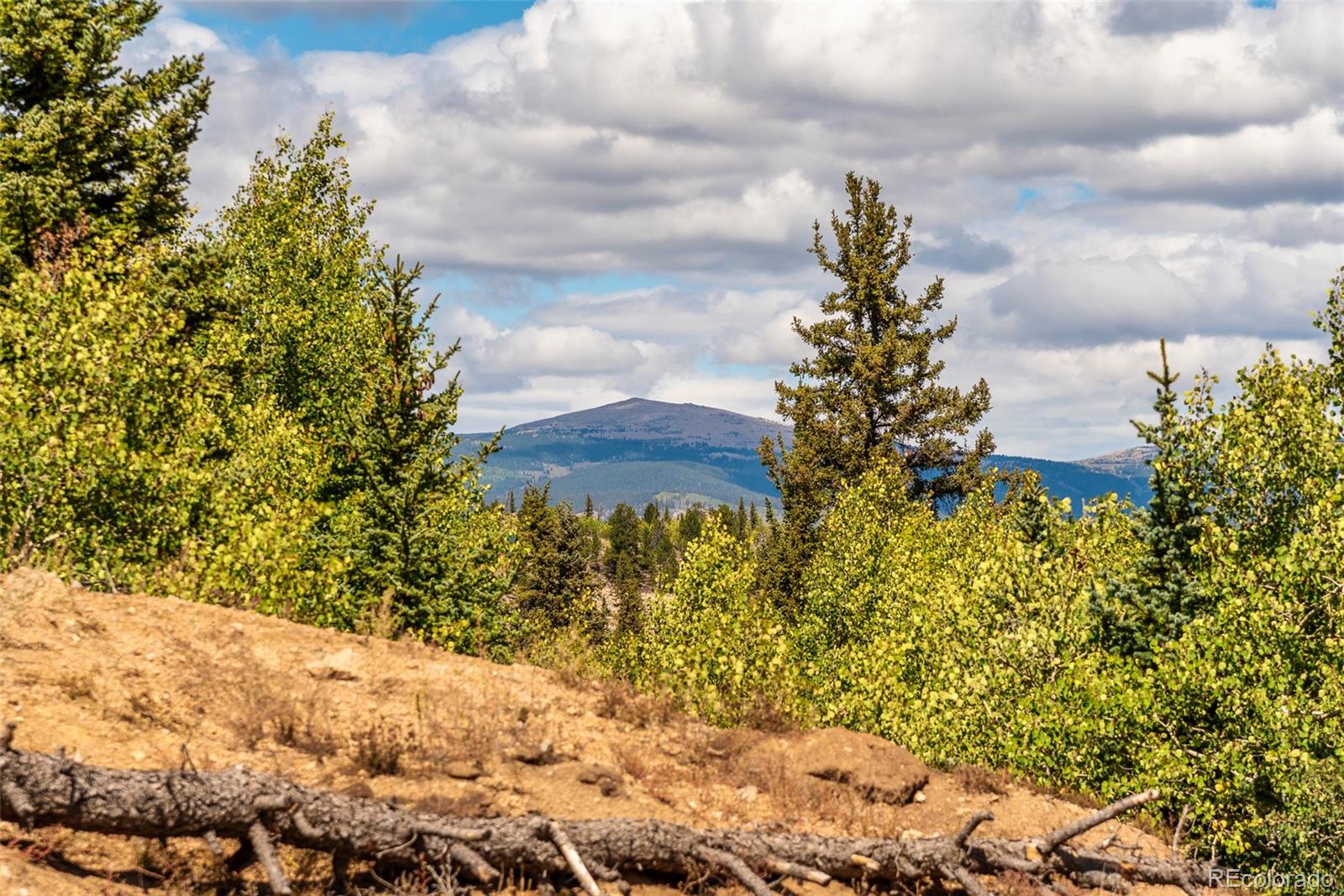 2491 Stagestop Road Jefferson, CO 80456 - Photo 33 of 46 a view of a yard