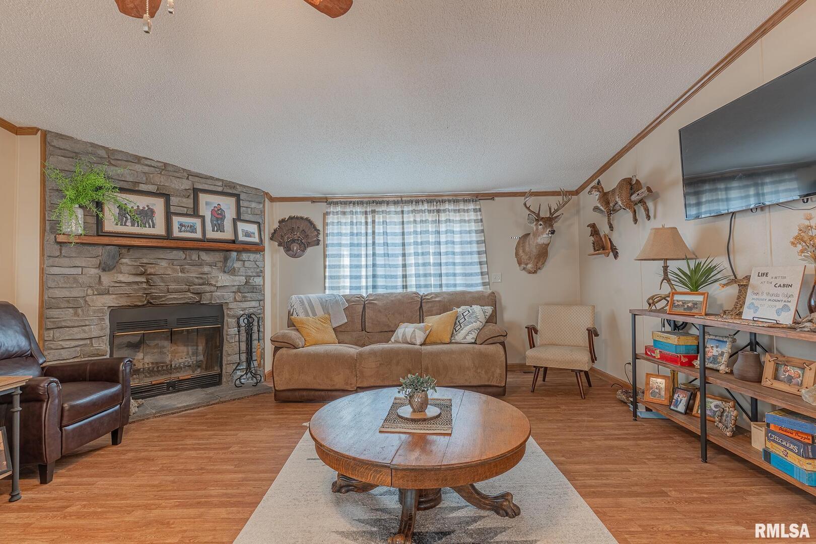 565 Dutton Chapel Road Herod, IL 62947 - Photo 36 of 54 a living room with furniture and a fireplace