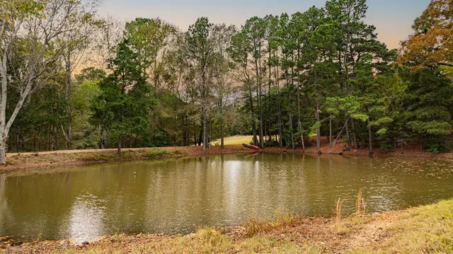a view of a lake with trees