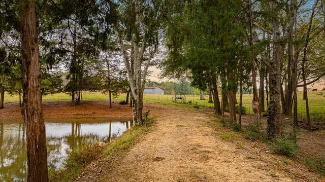 a view of a yard with trees