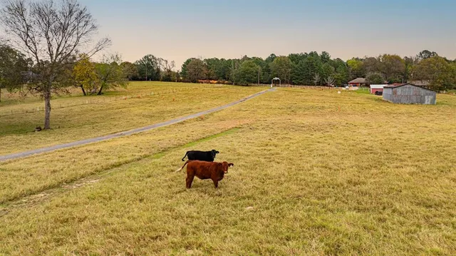 a view of an ocean beach