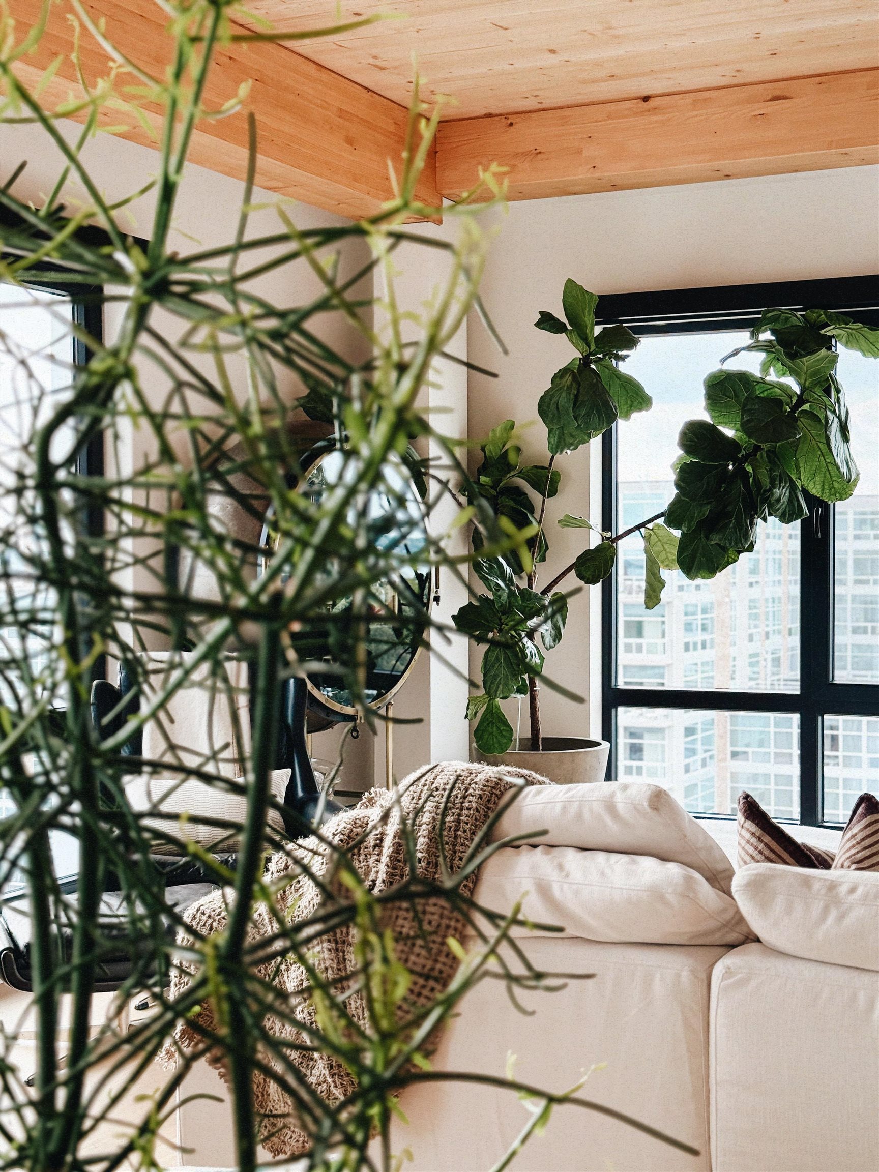 10 South Paterson Street, Unit 1401 Madison, WI 53703 - Photo 4 of 41