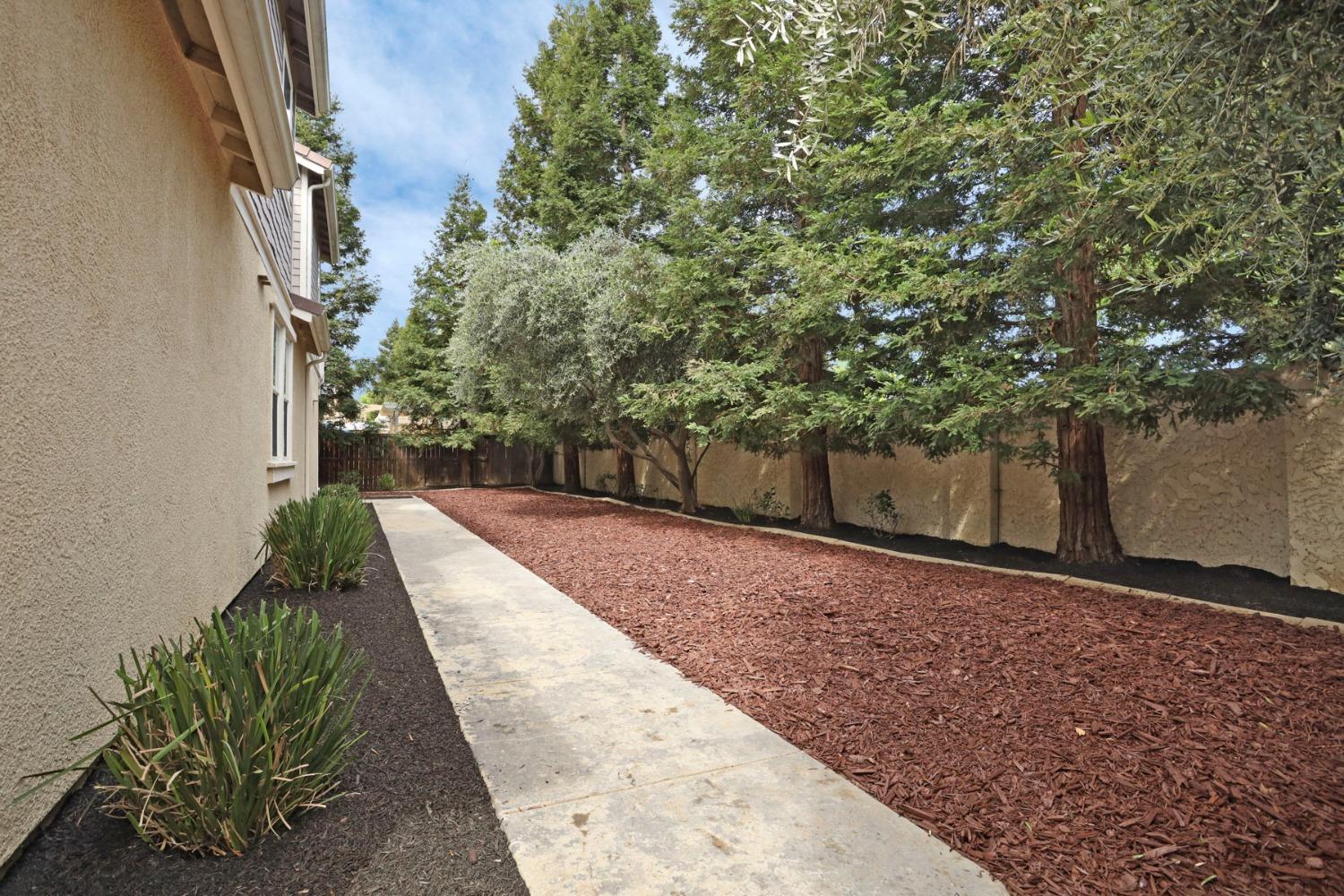 9363 Vintner Circle Patterson, CA 95363 - Photo 43 of 52 a view of a backyard