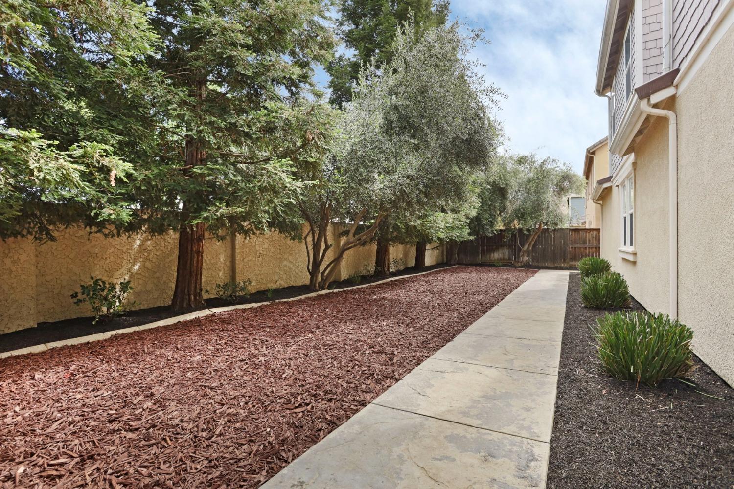9363 Vintner Circle Patterson, CA 95363 - Photo 44 of 52 a view of a pathway both side of house