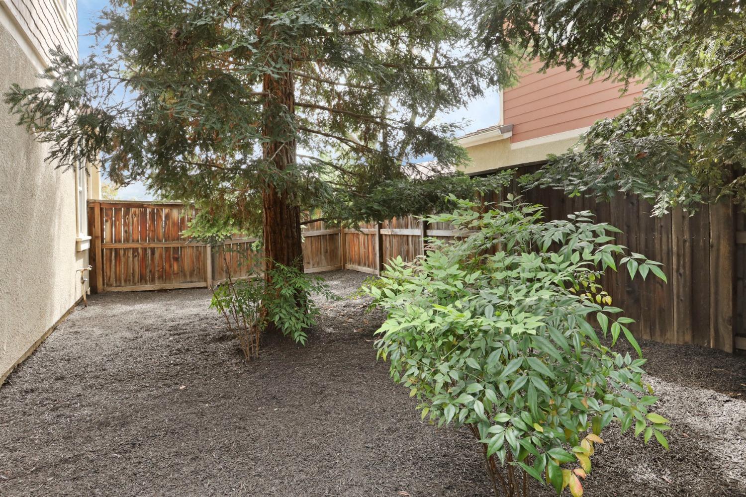 9363 Vintner Circle Patterson, CA 95363 - Photo 49 of 52 a backyard of a house with lots of green space