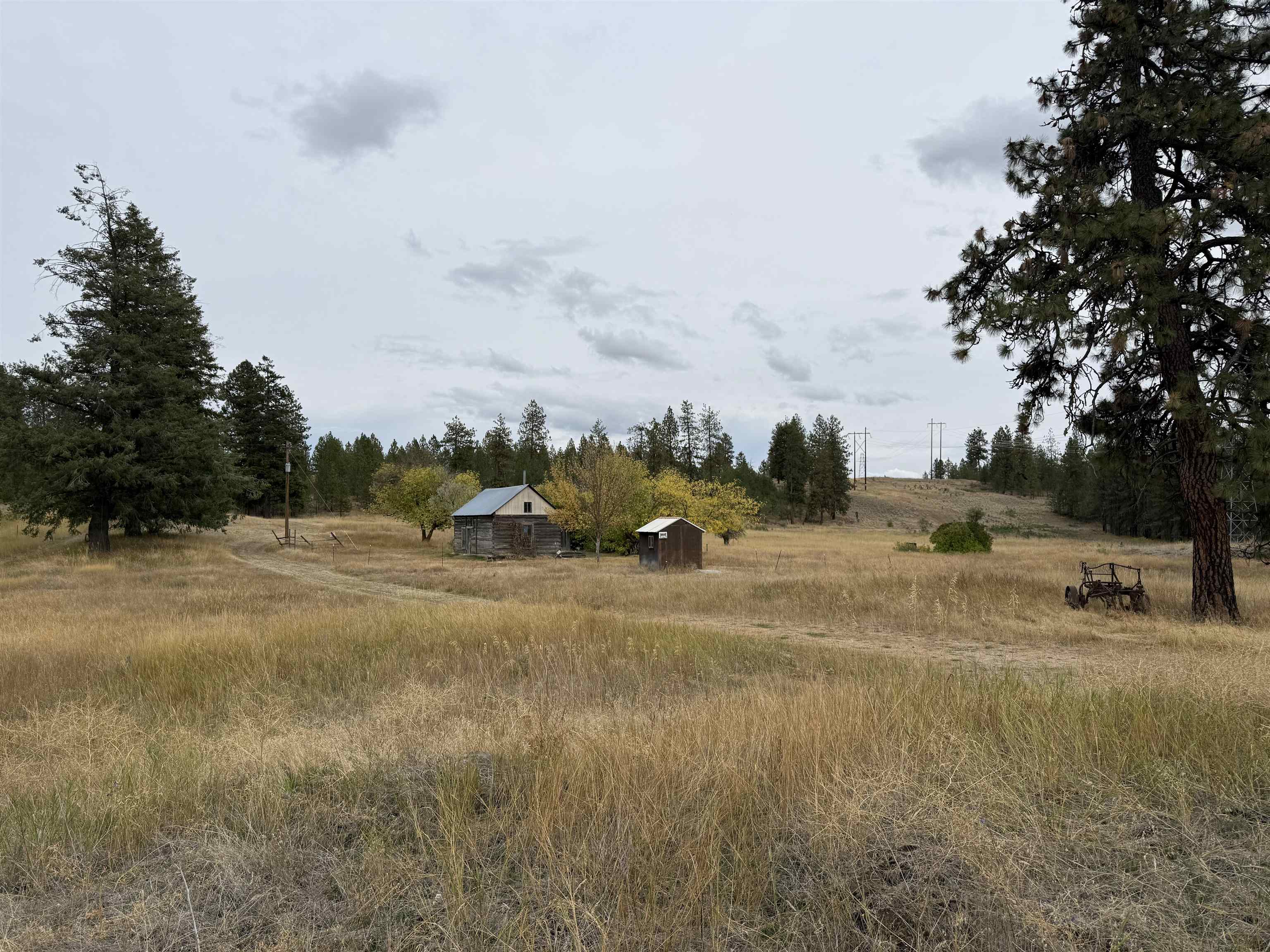 15211 North Wood Road Ford, WA 99013 - Photo 30 of 33