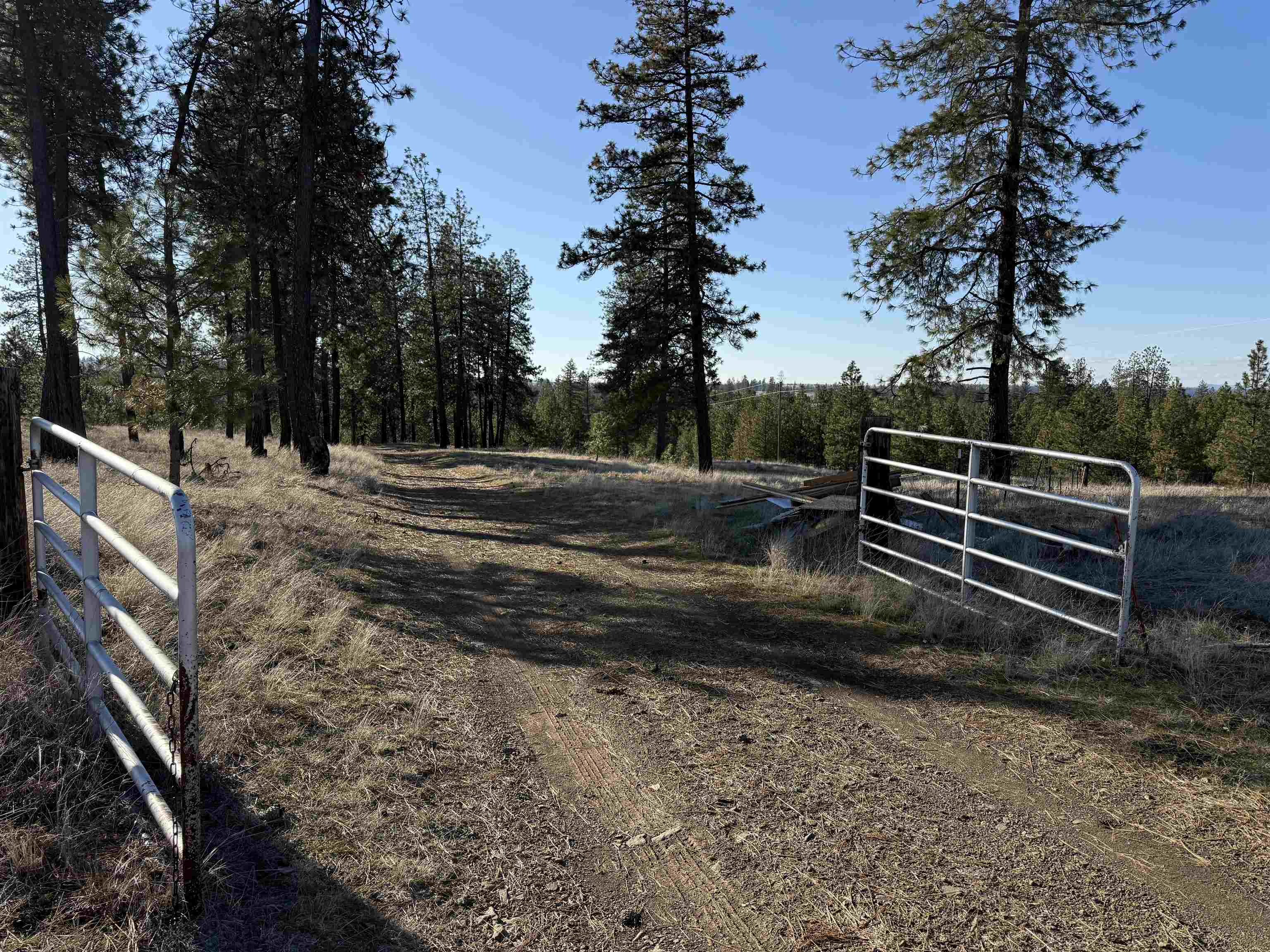 15211 North Wood Road Ford, WA 99013 - Photo 3 of 33